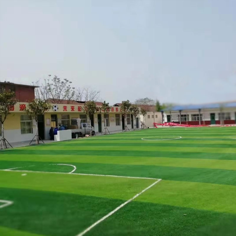 學校運動足球場草坪